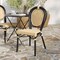 Merrick Lane Toulon Stacking Thonet Bistro Style Chair, PE Cane Rattan Seat, and Metal Frame for Indoor/Outdoor Use
